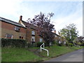 Houses on The Hill