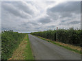 SK8520 : Towards Wymondham with gas pipeline marker in hedge to right by Andrew Tatlow