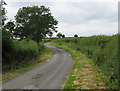 Towards Wymondham