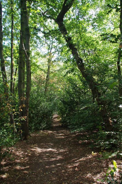 Path in Shirley Heath
