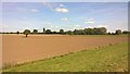 SE6235 : Newly ploughed and prepared field beside Angram Lane by Chris Morgan