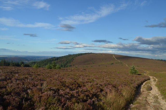 Moorland near Hill of Fare, Aberdeenshire