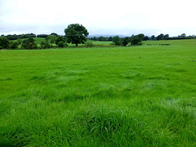 A grassy field, Deroran © Kenneth Allen cc-by-sa/2.0 :: Geograph Ireland