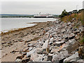 Invergordon Shoreline near Cromarty View (low tide)