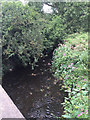 SP3682 : River Sowe downstream from Roseberry Avenue, Bell Green, north Coventry by Robin Stott