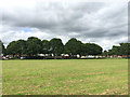 SP3582 : Open space by Almond Tree Avenue, Hall Green, north Coventry by Robin Stott