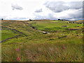 Tebay Gill