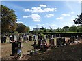 Celebrating the City of London Cemetery (27)