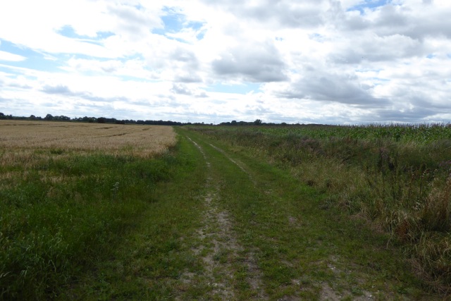 Farm track off Marketbridge Lane