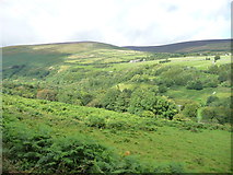 SC4285 : Laxey Glen from the Snaefell Mountain Railway [4] by Christine Johnstone
