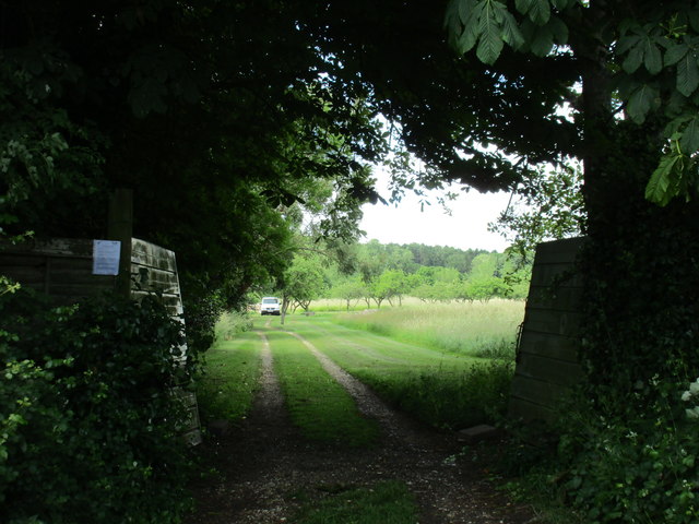 Entrance to an orchard