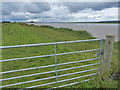 Gate on the river bank