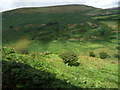SC4286 : Laxey Glen from the Snaefell Mountain Railway [7] by Christine Johnstone