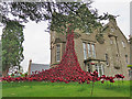 Poppy Window