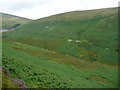 SC4186 : Laxey Glen from the Snaefell Mountain Railway [9] by Christine Johnstone