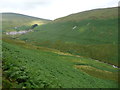 SC4186 : Moorland sheep pasture, south side of Laxey Glen by Christine Johnstone