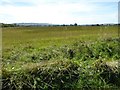 Flat farmland in the Vale of Evesham