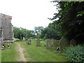 St Mary, Wetherden: churchyard (ii)