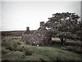 NG7368 : Abandoned farmstead, near Redpoint by Mick Garratt