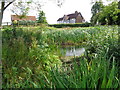 Pond and Church Farm House, Grafton Flyford