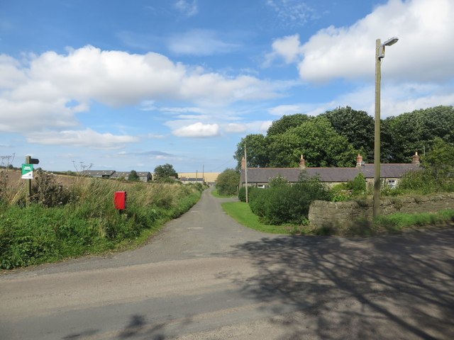 Lane to farm at Littlehoughton