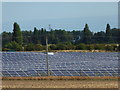 Solar Farm, Faversham