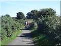 NZ3275 : Cycling on the bridleway by Graham Robson