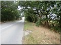 Wroot Road near Finningley