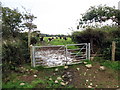 Llwybr Ceffyl Hays / Hays Bridleway