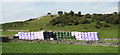 NY9538 : Many-coloured silage bales by Trevor Littlewood