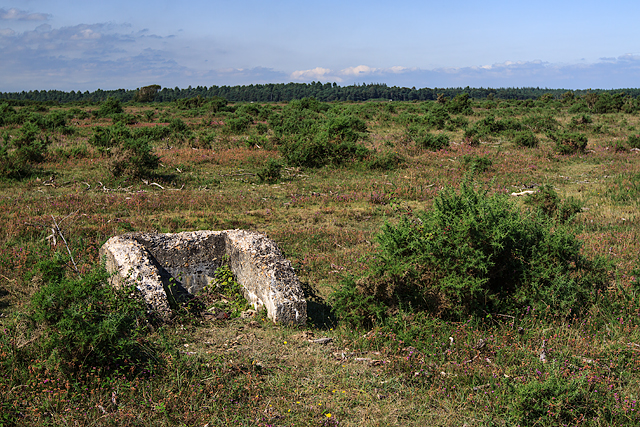 East Boldre airfield remains (2)