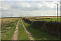 Footpath and Electricity Poles