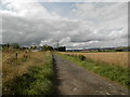 Track to North Mains of Liff