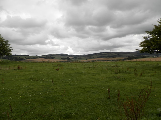 Field at Newton Farm