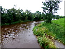 H4869 : Camowen River, Edenderry / Aghagallon by Kenneth  Allen