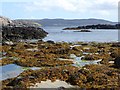NC5863 : Seaweed covered rocks north of Talmine Pier by Oliver Dixon
