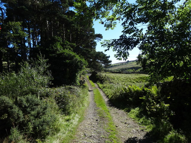 Footpath and Track towards Edmondbyers