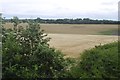 Arable land, Easingwold