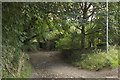 Bridleway, Bankhouse Bottom