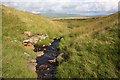 SD7673 : Small stream beside Dales High Way by Roger Templeman