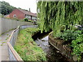 Bend in East Brook, Dinas Powys