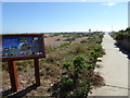 Footpath to the beach