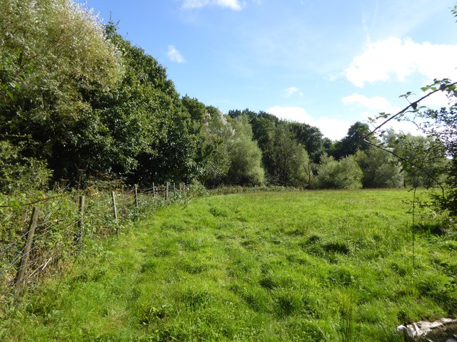 Woods and field north-west of Huntsham