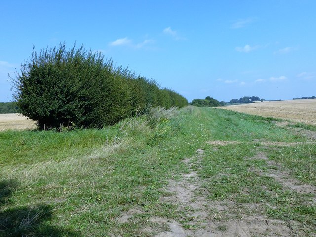 Farmland north of Gallow Lane