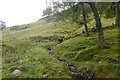 Slopes of Creag nan Eildeag