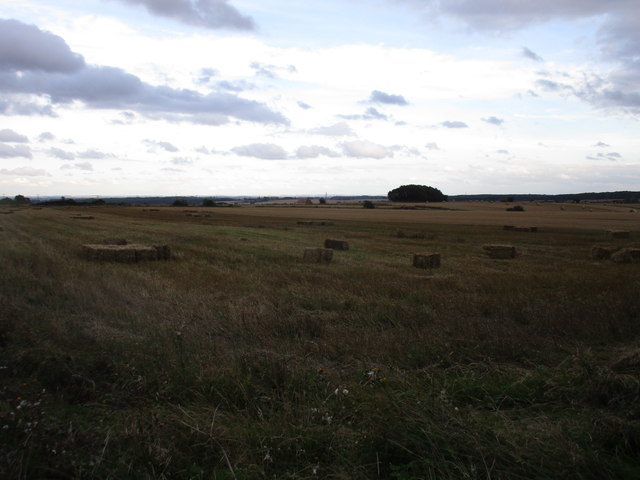 Mill Field