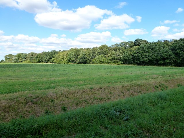 Farmland and Gravelpit Plantation near Wimbotsham