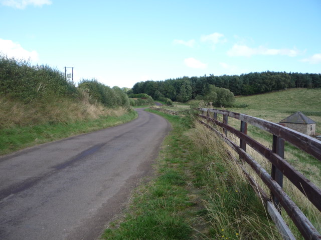Minor road, East Learmouth