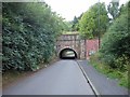 Old Railway Bridge