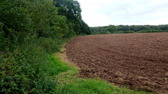 Farmland at Lordsley End